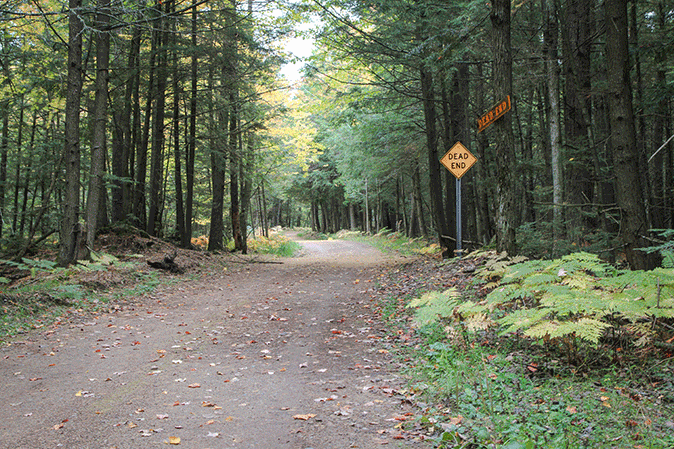 A dead end dirt road in the woods
