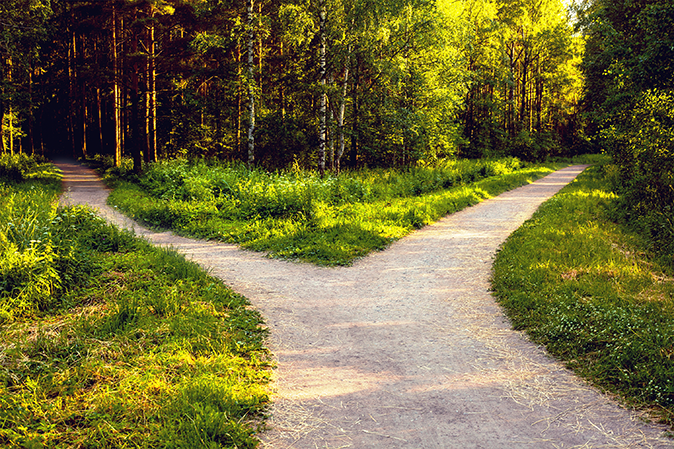 Two dirt paths going in different directions towards the woods