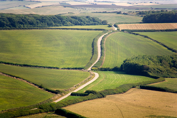 Section image