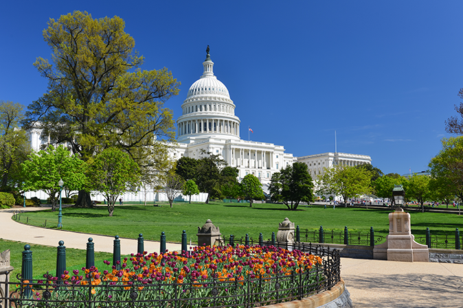 View of the US Capitol building in Washington DC in the Spring
